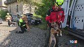 Gli eroi a 4 zampe che salvano vite