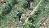 10 ore nei campi a meno di un euro l'ora