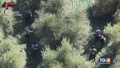 Migranti sfruttati piaga caporalato