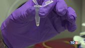Fentanyl in Italia cresce l'allerta