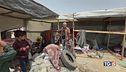 Bombe su Rafah, sfollati in fuga