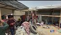 Bombe su Rafah, sfollati in fuga