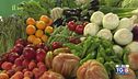 Gusto di Vino - La dieta mediterranea