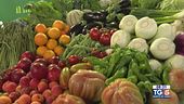 Gusto di Vino - La dieta mediterranea