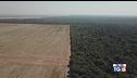 Preservare l'ambiente per tutelare la salute