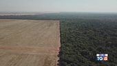 Preservare l'ambiente per tutelare la salute