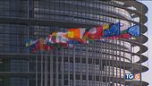 Tutta Europa alle urne Pugni a premier danese