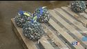 Crisi cozze e vongole nemico granchio blu