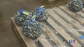Crisi cozze e vongole nemico granchio blu