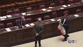 Riforme, in aula rissa e bagarre