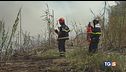 Caldo, siccità e allarme incendi