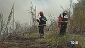 Caldo, siccità e allarme incendi