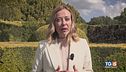 Ma Fdi e Lega non la votano