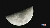 Luna, voglia di tornare!
