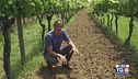 Gusto Di Vino: biodinamica e sperimentazioni uniche