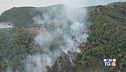 Vieste, incendio doloso e torna il gran caldo
