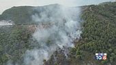 Vieste, incendio doloso e torna il gran caldo