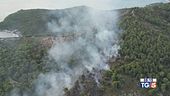 Vieste, incendio doloso e torna il gran caldo