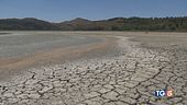 Incendi e siccità emergenze estive
