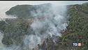 La piaga degli incendi nell'estate più calda