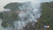 La piaga degli incendi nell'estate più calda