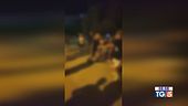 Aggredito dal branco in dieci contro uno