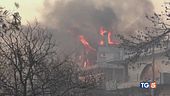 Emergenza incendi Grecia ma non solo