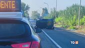 Azzardi sulle strade 3mila morti l'anno