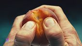 Il fenomeno "Food porn"