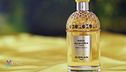 Luce, freschezza e grazia: le note olfattive della mimosa