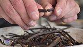 Vaniglia: le sfumature della dolcezza