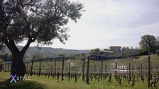 Vigne da scoprire