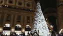 L'albero di Natale di Dior