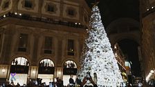 L'albero di Natale di Dior