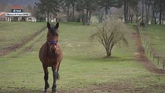 Puntata del 24 marzo