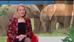 Puntata del 7 aprile