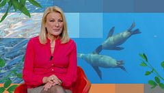 Puntata del 12 maggio