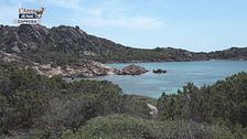 Puntata del 26 maggio