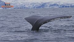 Puntata del 7 luglio