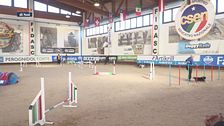 L'Educa-cani