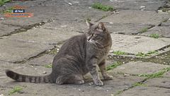 Puntata del 25 agosto