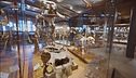 Museo diffuso