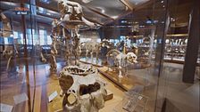 Museo diffuso
