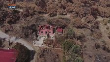 Tutela dell'ambiente e delle foreste