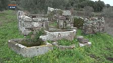 Fuoco sacro