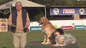 L'Educa-cani