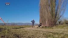 L'Educa-cani