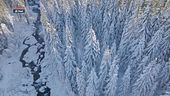 Tracce nella neve