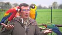 Volo a colori