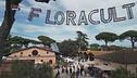 Tra i fiori